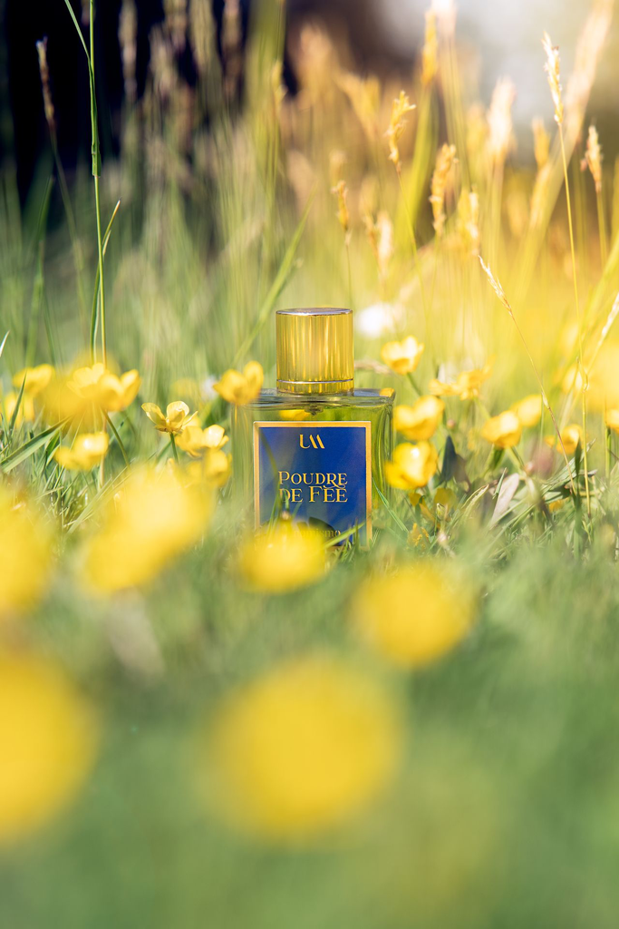 poudre-de-fee.webp