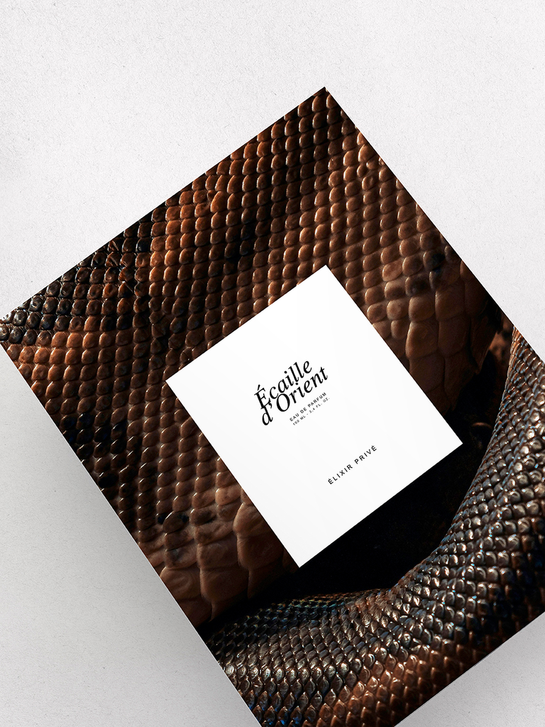 (é) Écaille box.webp