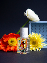 Lost in Translation 15ml - Maison Matine