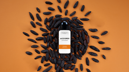 TONKA VENEZUELA EDP 30ML